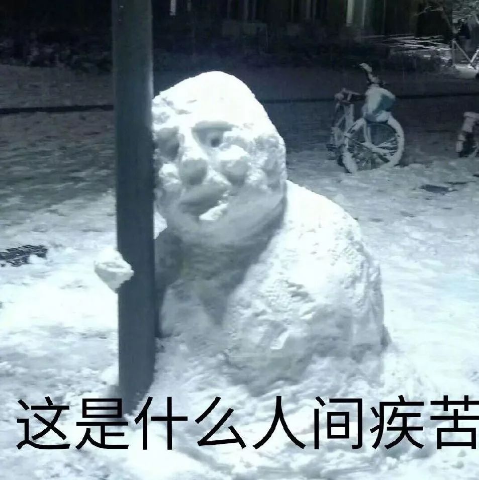 2019第一届堆雪人大赛开始南方人骂骂咧咧退出群聊