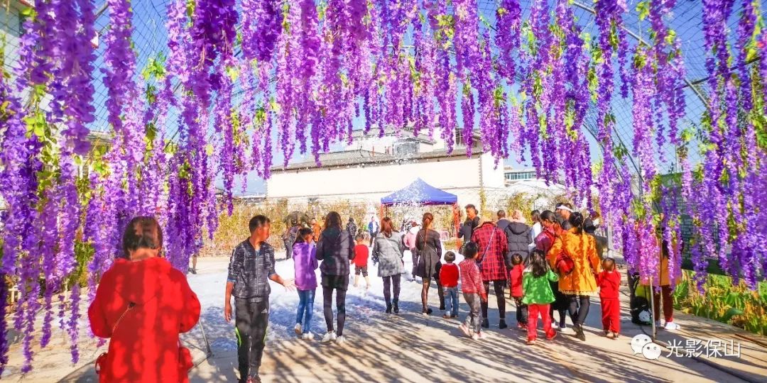 【周末时光】20190176期 保山云桑庄园紫藤花文化节侧记