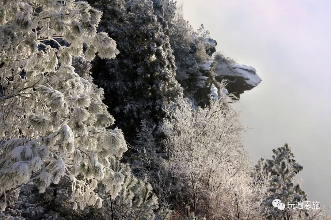 今年你想带谁来看利川的初雪!_齐岳山