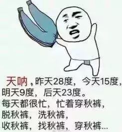 6c4871a5bdd54a3683c5eea4f5622190.jpeg
