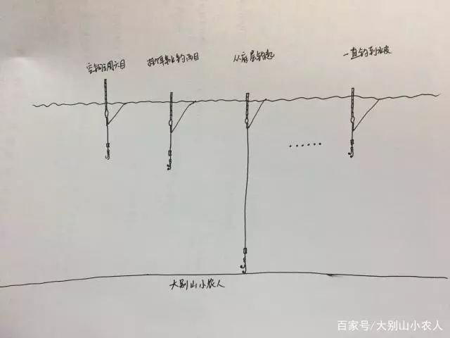 钓甲鱼用直针钓是什么原理_甲鱼鞭是什么样子的(3)