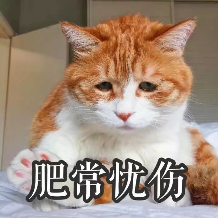 【微信头像表情包】忧郁猫系列