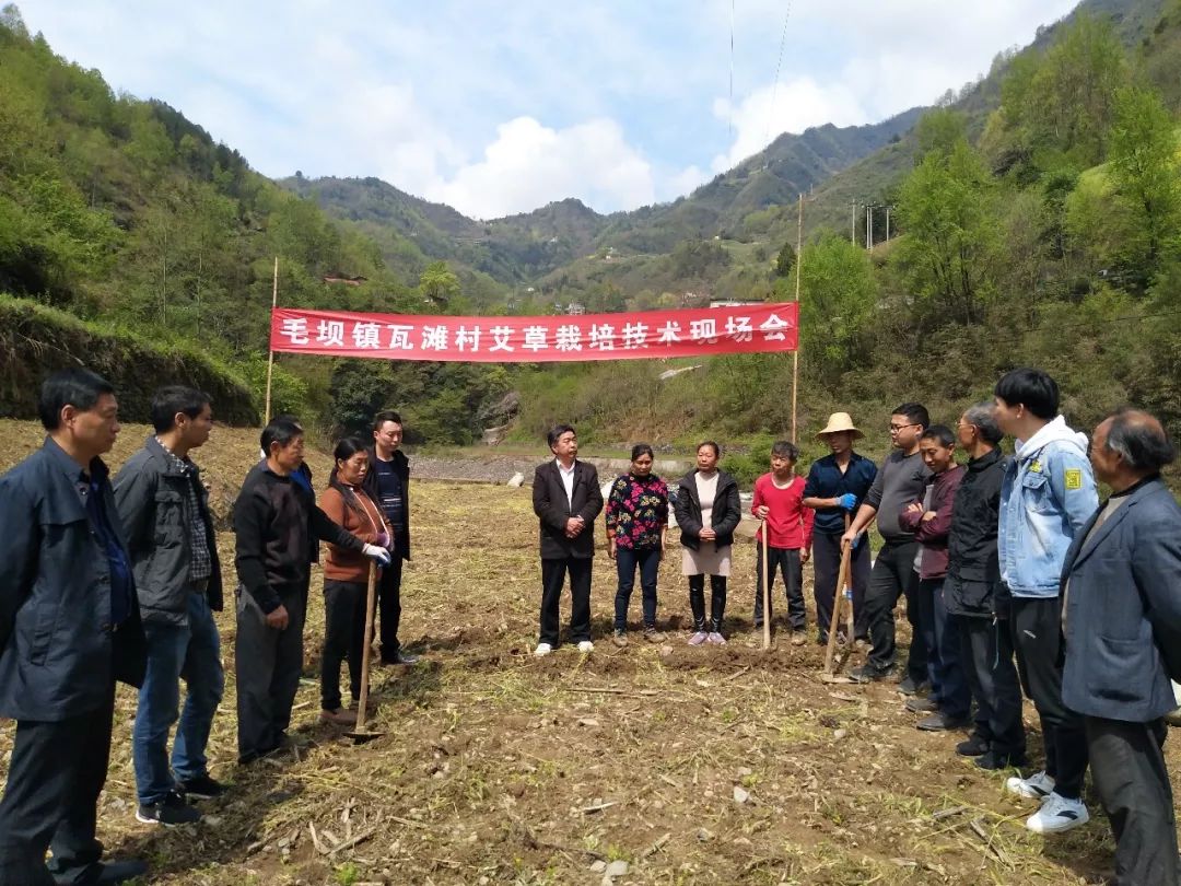 一个深贫镇的"预习课" ——紫阳县毛坝镇"重眼下脱贫更重长久致富"