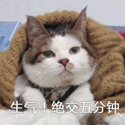 75d7d0a755db423ebe146098656f75d8.jpeg
