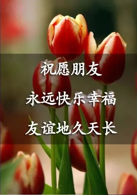 珍惜生命中,每一个有缘的朋友.