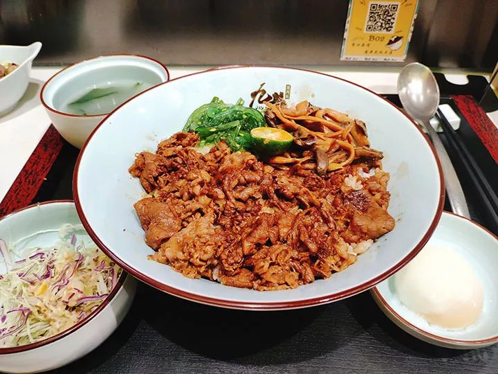 人均肉食_肉食动物