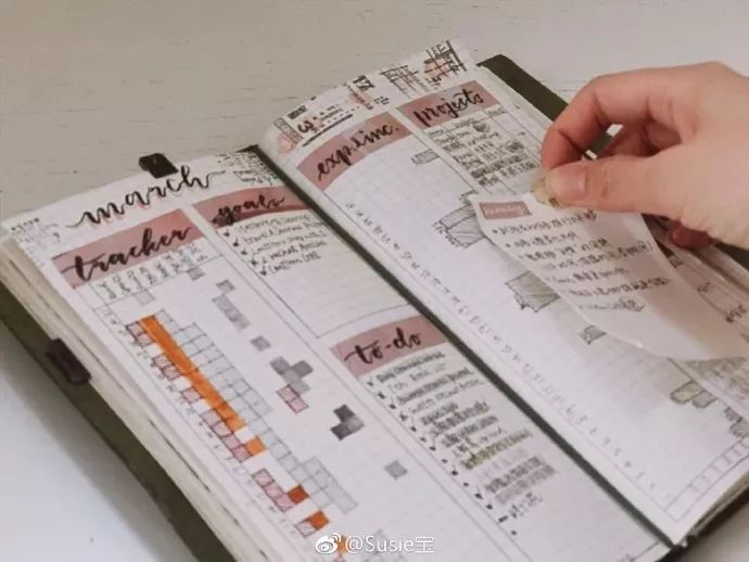 如何做手账新手教程 833f6b40fc0b4e8f9547600b59c526aa.jpeg