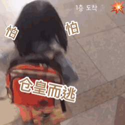 8592286f9f35446094a10367494f98a9.gif