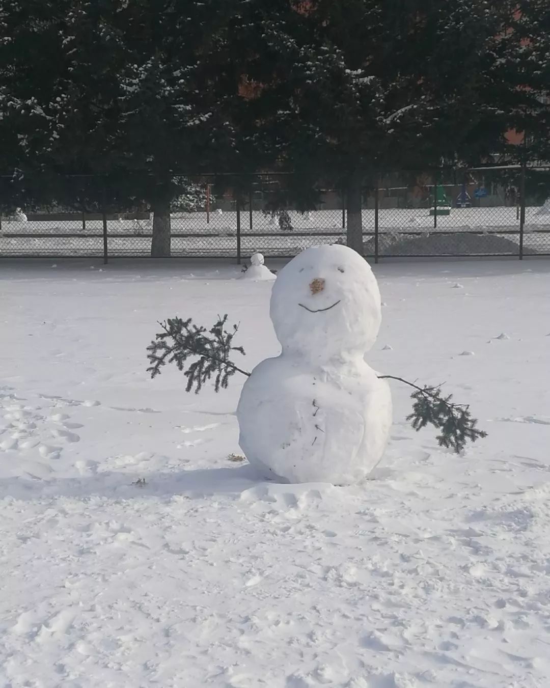 2019第一届堆雪人大赛开始南方人骂骂咧咧退出群聊