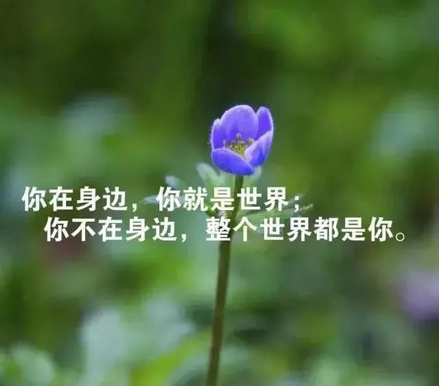 2019发朋友圈最牛句子,句句彰显个性!