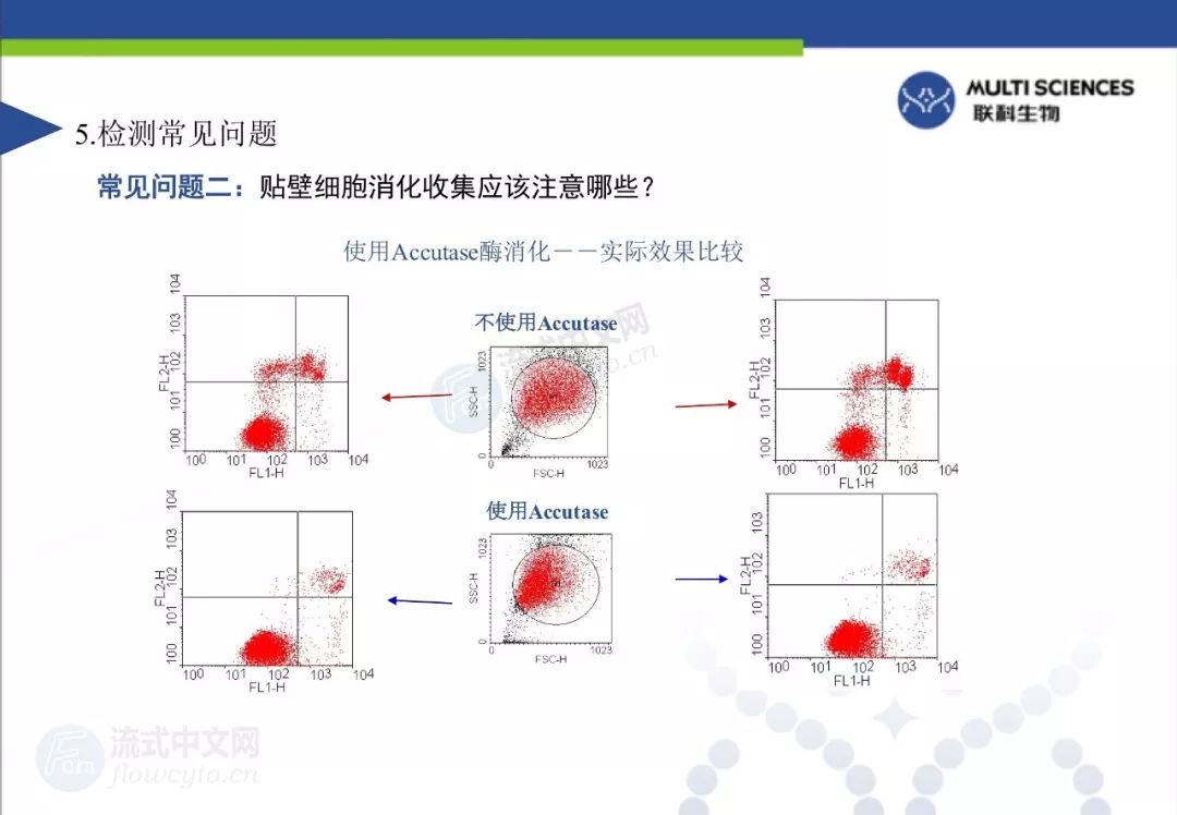 第20次线下聚会ppt流式在细胞凋亡中的应用