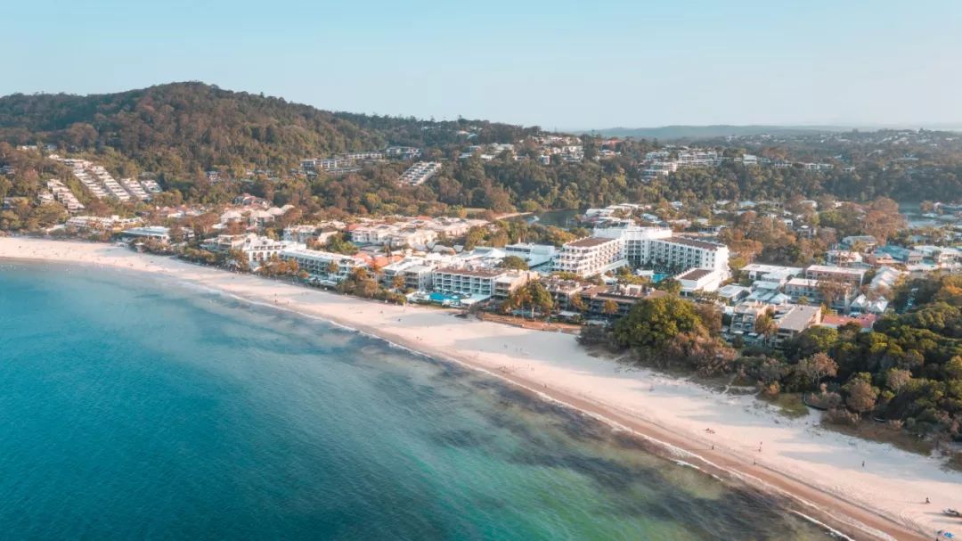 authe taste of tasmania91 2019 年 12 月 28 日 – 2020 年 1 月