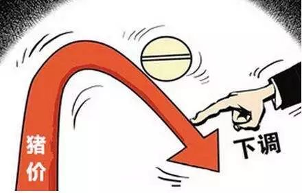 啥是回流生 a328438839ef4a7492509177ec20c2ed.jpeg