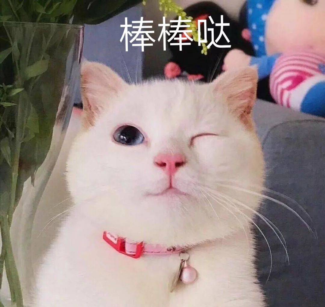 脸上洋溢着青春气息 四不四已经对昨晚的决赛 迫不及待了呢 昨晚没