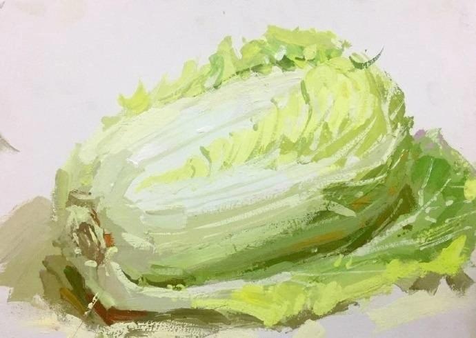 【沈阳顶点画室】美术生色彩,关于大白菜的塑造步骤,你还没掌握吗?