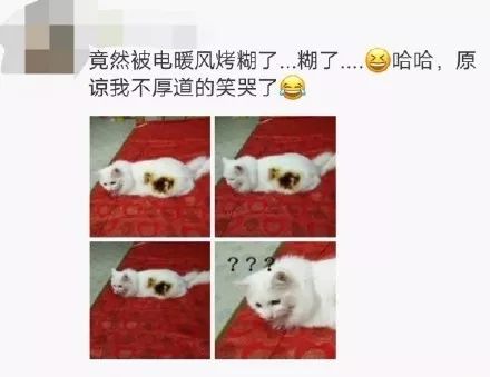 南方人口有_南方有乔木图片
