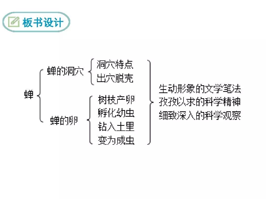 部编版八年级语文上册第20课《蝉》知识点 图文解读 同步练习