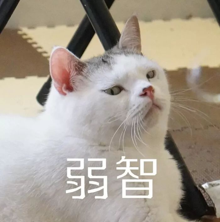 【微信头像表情包】忧郁猫系列