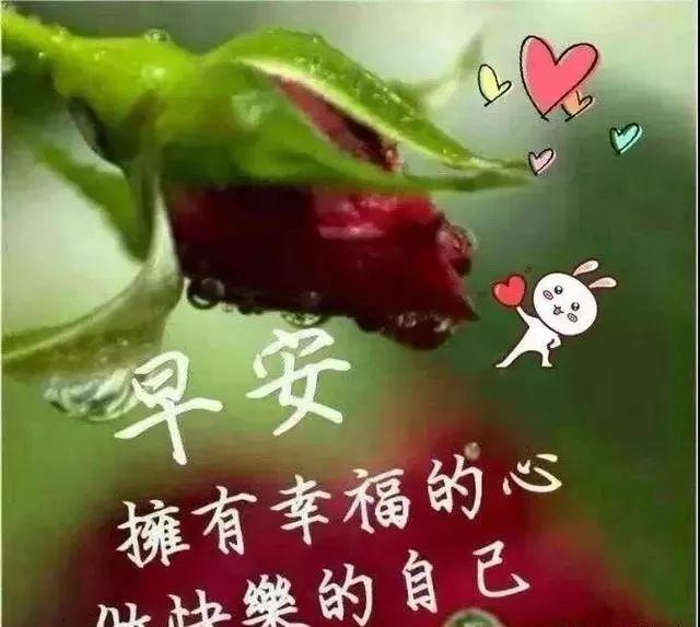 朋友中有你,我很快乐,友谊永远珍藏,祝福念念不忘,早安