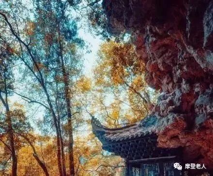 耳虚闻什么成语_成语故事图片(3)