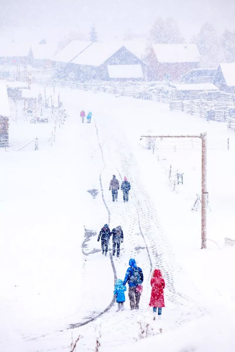什么雪什么皑成语_雪之下雪乃(5)
