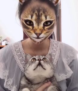 喵喵喵喵喵是什么意思啊 108953a250334180accc7e3d53060f5a.jpeg