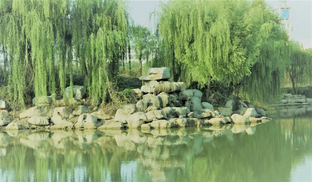 成语玉树临什么_琼枝玉树像什么