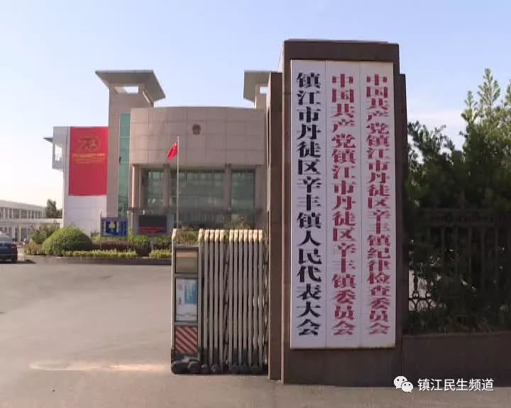 辛丰人口_人口普查
