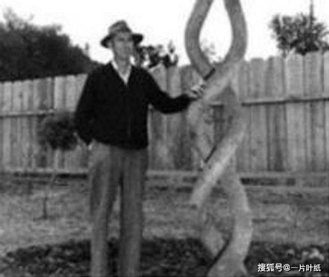 几何人猜个成语_火跟山猜个成语