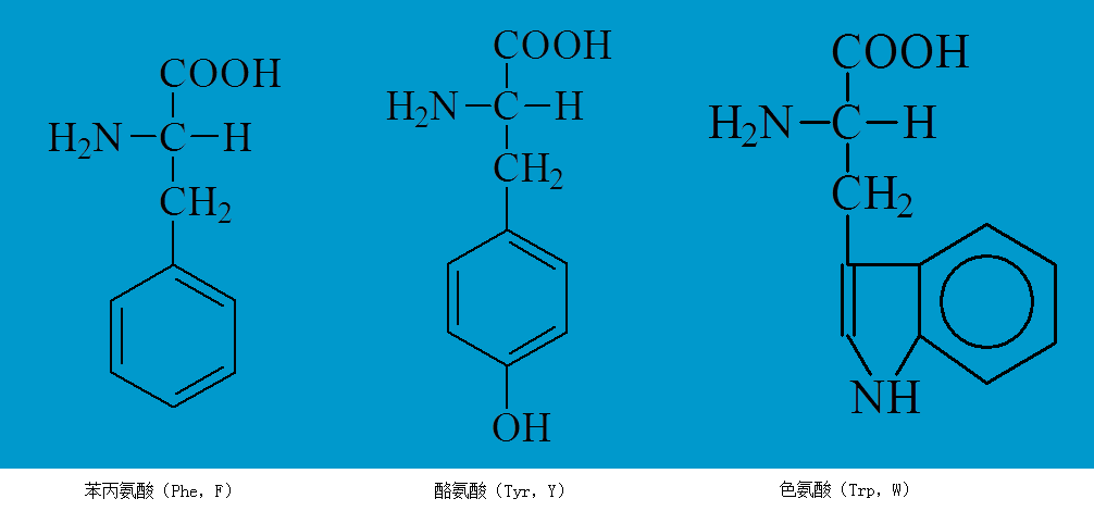 基本氨基酸的一些基本知识结构特点与记忆方法六