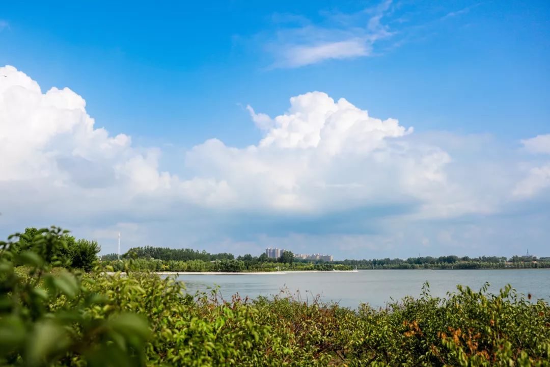 鄢陵鹤鸣湖许昌人的后花园