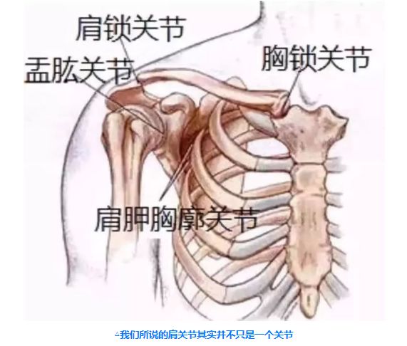 胳膊抬不起脱不了套头的衣服夜间被痛醒一直以为是肩周炎结果是