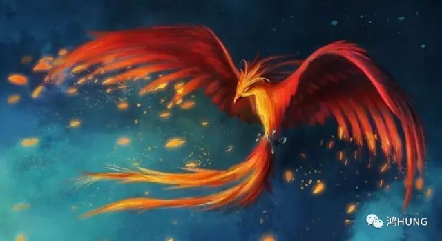 凤求皇简谱_高洁的法皇数字简谱