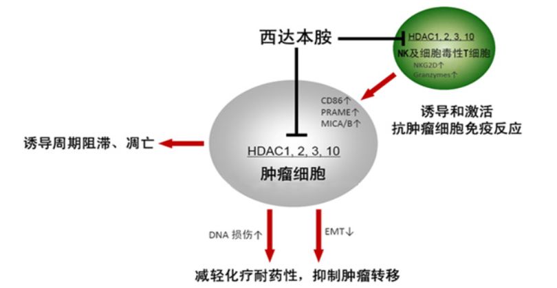 西达本胺GDP_西达本胺