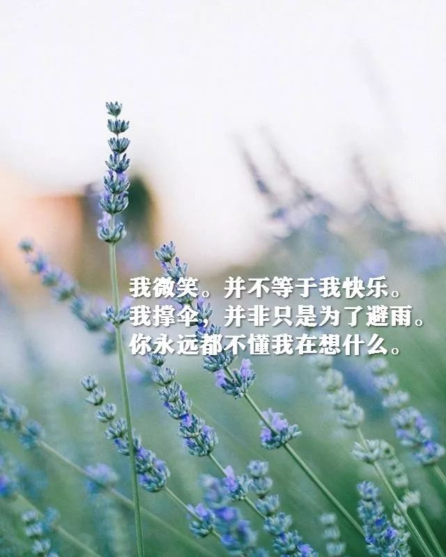 882ee49c9bf9451e9eaccf2b1fd9cb31.jpeg
