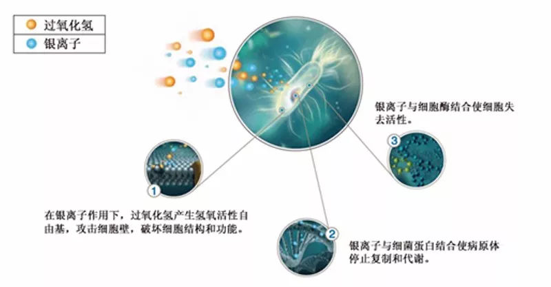 细菌|史上最全的制药厂无菌室杀菌方案！