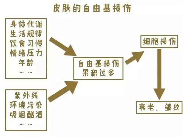 9736ae5a9d5245c281e53a9abcc30446.jpeg