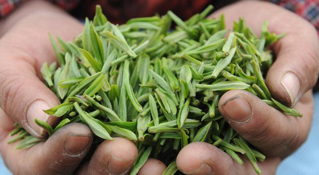 什么叫做有机茶 a728bcd674b14e749e73e461eb5f385f.png