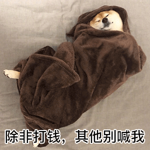 裹被子的柴犬表情包合集除非打钱其他别喊我