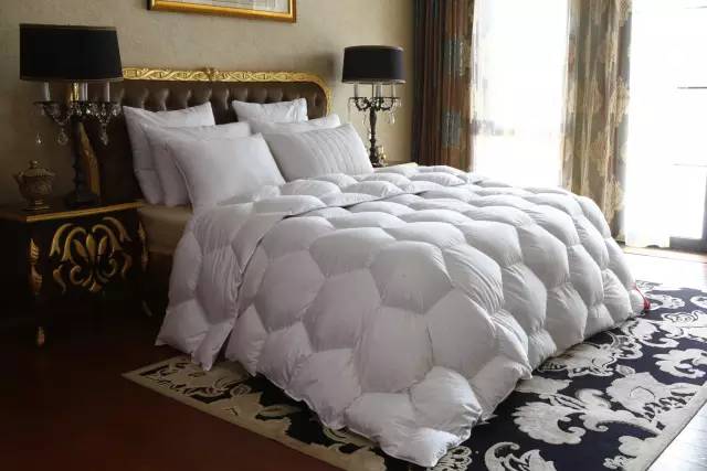 品质好物羽绒被 bc796222a4634fb485e278435740e09b.jpeg