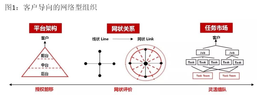 组织发展客户导向的网络型组织价值契约的钻石型组织竹林共生的生态型