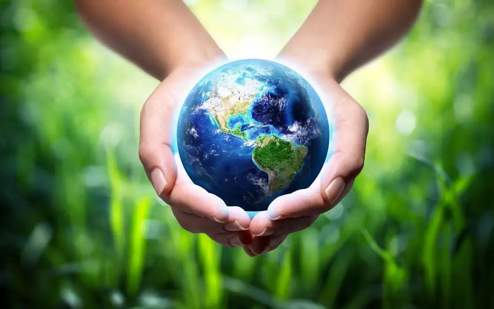 梦境的双色世界,黑色与绿色的寓意解析 梦境的双色世界,黑色与绿色的寓意解析