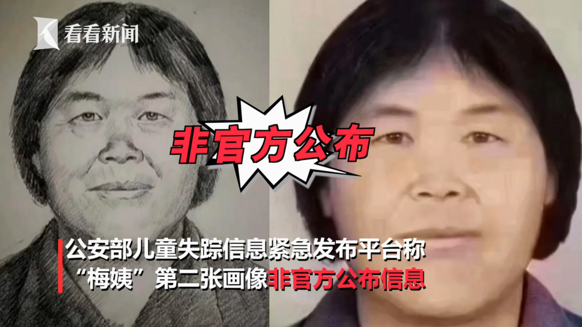 梅姨真实存在?"画像神探":同居老汉提供细节