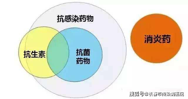 fc4215bc3fc9402ab5468cb384c86cae.jpeg