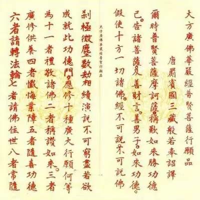 茅什么蓬成语_茅薯是什么薯(2)