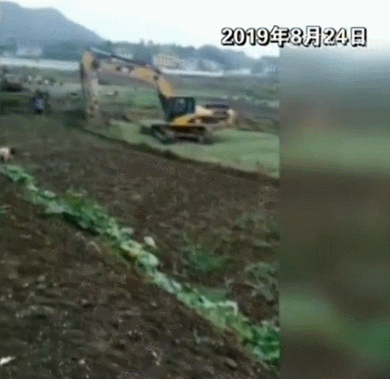 为完成上级任务，贵州一村庄数百亩农田被强挖