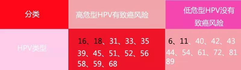 hpv感染了怎么办