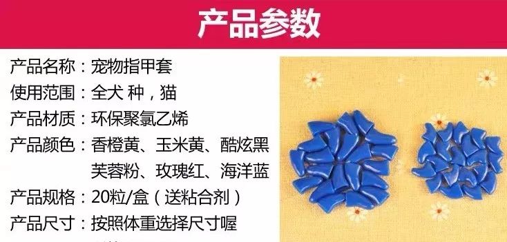 狗狗戴美甲很可愛？你笑得開心，卻不知道狗有多災… 寵物 第15張