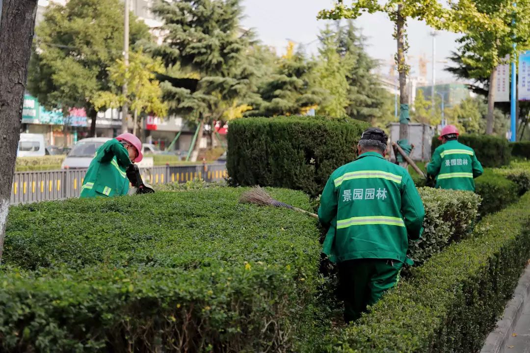 服装展示为提升园林绿化标准化,规范化管理水平以及安全保障系数