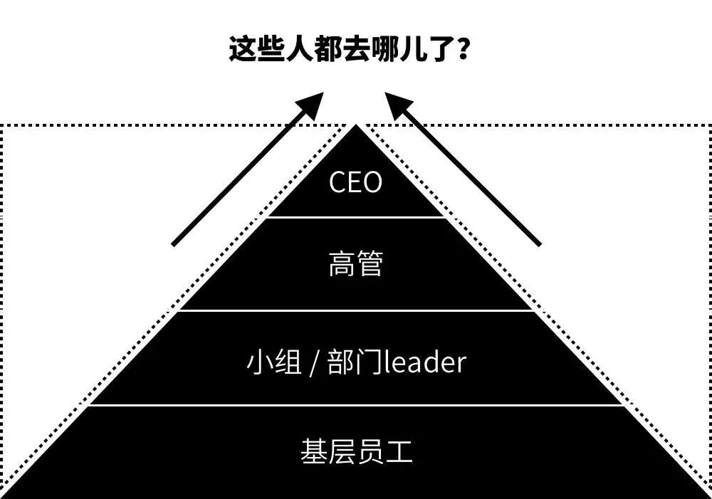 人口金字塔怎么做_请问excel的人口金字塔该怎么做(3)